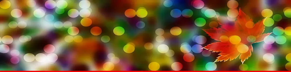 Nota Bene – The Carpet As An Accent In The Cleaned And Healthy Dwellings